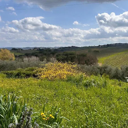 بيت للعطل Il Mandorlino